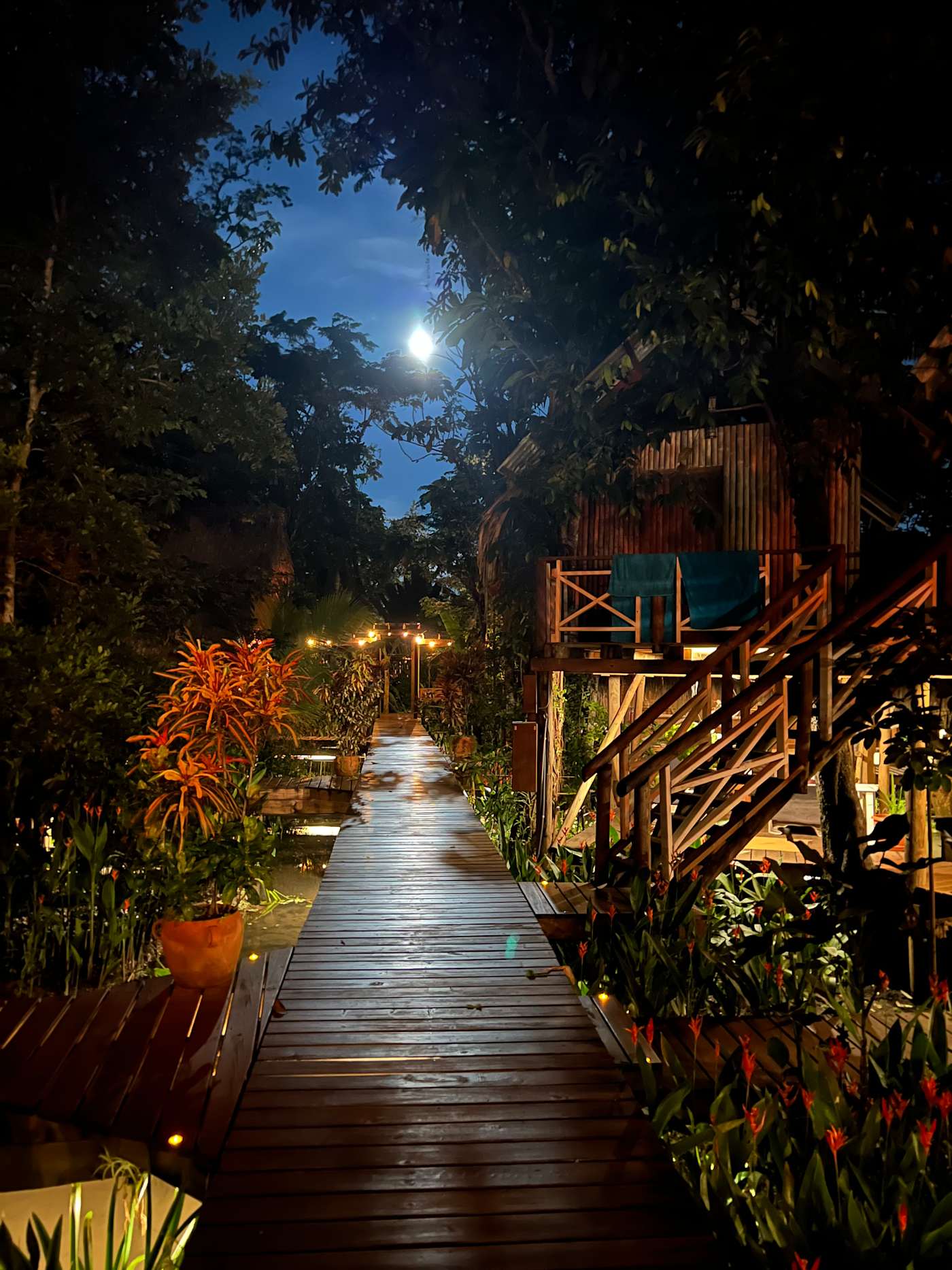 Garden path between the cabins