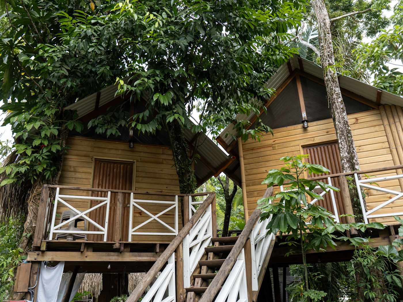 Wooden cabins among the trees