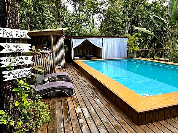 Pool seen through tropical foliage, with lounge chairs and a bamboo fence